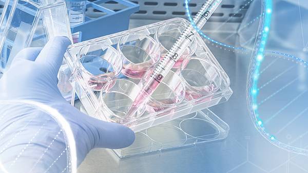 基因檢測.jpg 基因檢測.jpg