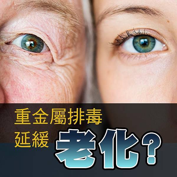 封面.jpg 封面.jpg