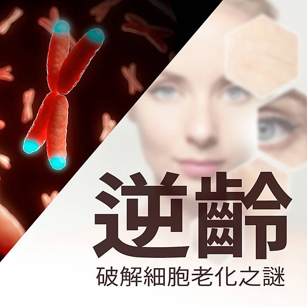 主圖.jpg 主圖.jpg