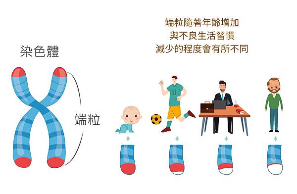 小到大-1.jpg 小到大-1.jpg