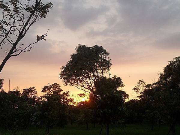 都會公園夕照