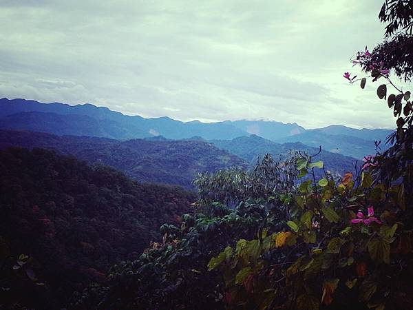 美麗山嵐