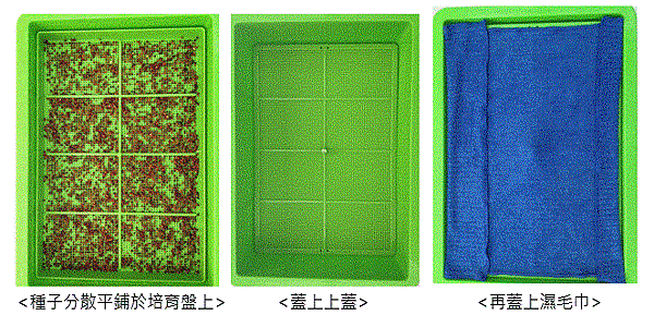 投影片2