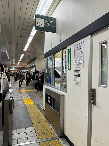 『旅遊』林利童車｜媽媽挑戰一打二帶小孩去東京｜出國必備｜雙人