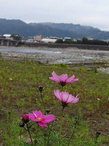 石岡大壩