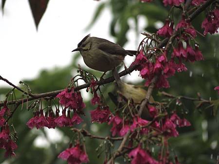 IMG_5859 IMG_5859