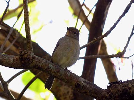 IMG_6087 IMG_6087