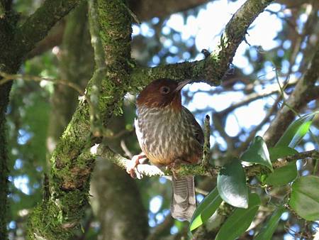 IMG_6054 IMG_6054