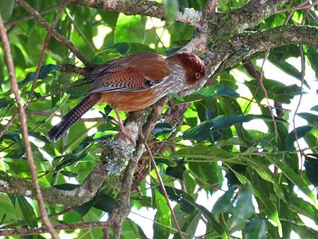 IMG_6050 IMG_6050