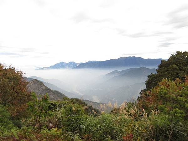 阿里山