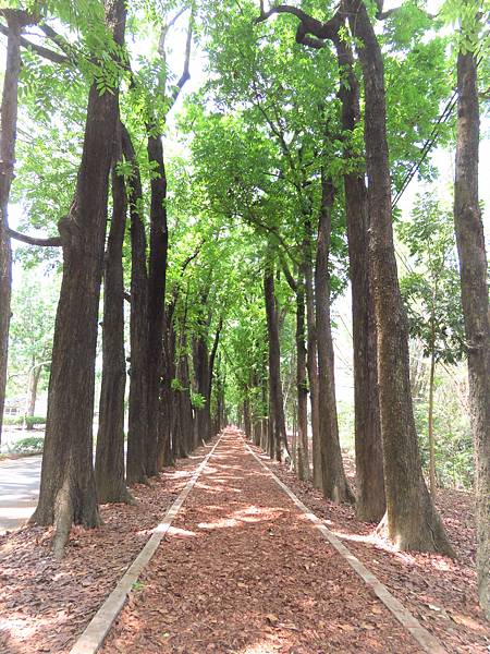 茂林 新威