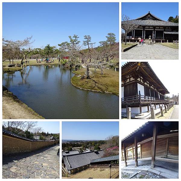 PhotoGrid_1530573597041