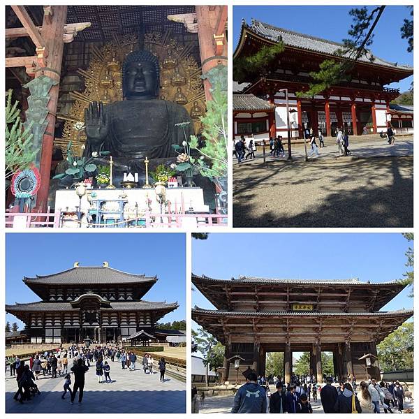 PhotoGrid_1530573431252