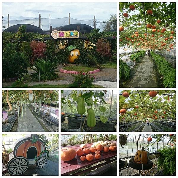 PhotoGrid_1474079809054.jpg PhotoGrid_1474079809054.jpg