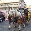 紐倫堡街頭的馬車