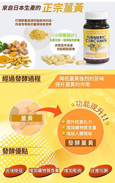 ec - 複製 (3) 試用