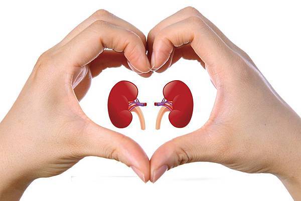 Kidneyremedies2.jpg