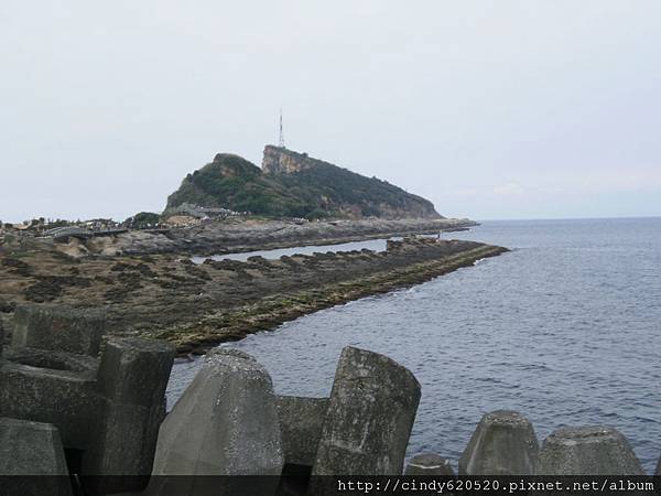 東北角2011_0615(072).JPG