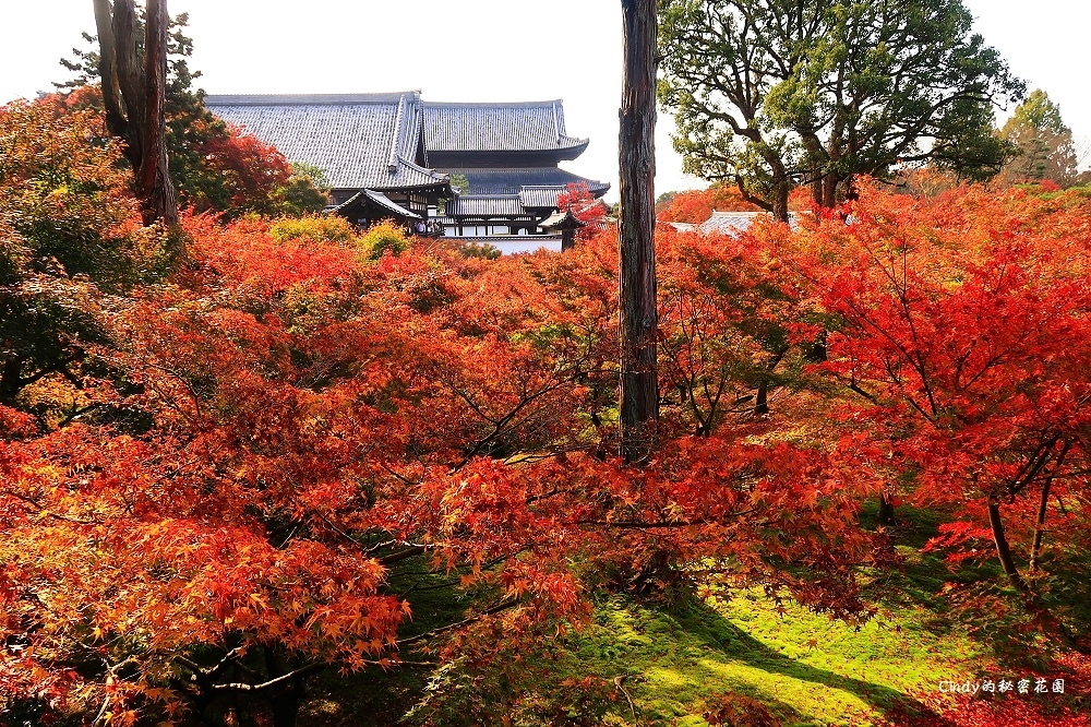 äº¬é½è³æ¥æ¯é»ãæ±ç¦å¯ºï½äº¬é½è³æ¥å¿å»æ¯é»ï¼å±é«è¨ä¸éè¦½æ»¿å±±æ¥ç´ï¼ @ Cindyçç§å¯è±å:: çå®¢é¦::