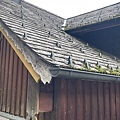 IMG_4656.JPG