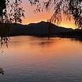 IMG_1591.JPG