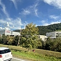 IMG_5005.JPG