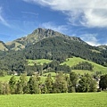 IMG_5008.JPG