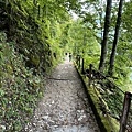 S__10772622.jpg