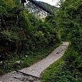 S__10772621.jpg