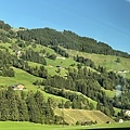 IMG_5319.JPG