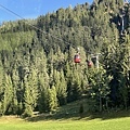 IMG_5345.JPG