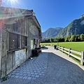 IMG_5423.JPG