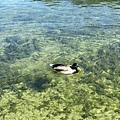 IMG_5436.JPG