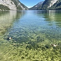 IMG_5435.JPG