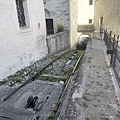 IMG_5691.JPG