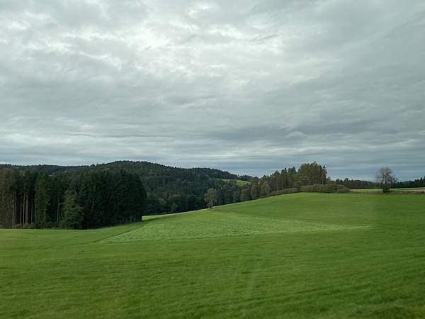 IMG_6009.JPG