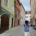 IMG_2100.JPG