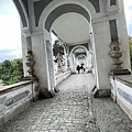 IMG_6229.JPG