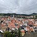 IMG_6289.JPG
