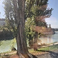 IMG_7765.JPG