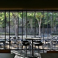 RIO_6812__1_.jpg