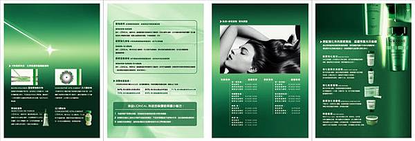卡詩Force Injection-brochure2.j