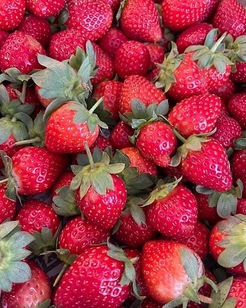 270185975_344760214150887_1712050646649060102_n.jpg 270185975_344760214150887_1712050646649060102_n.jpg