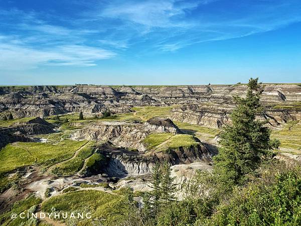 加拿大旅遊｜卡加利景點Drumheller—全世界最大的恐龍