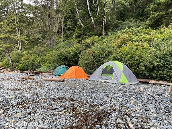 加拿大公路旅行EP1｜我們紮營四天五夜，在Vancouver