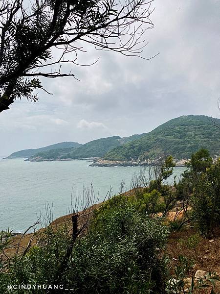 馬祖旅遊｜台版小奈良－馬祖大坵島！你有看過那麼多野生梅花鹿嗎