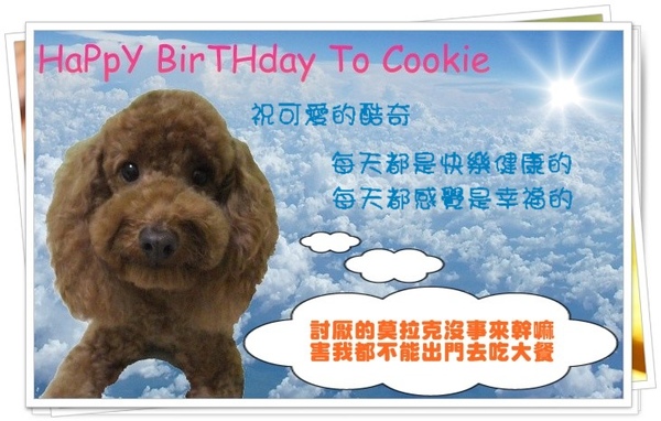 Cookie生日快樂