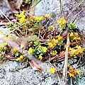 20110717_046.JPG