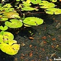 20110723_186.JPG