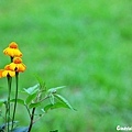 20110703_447.JPG